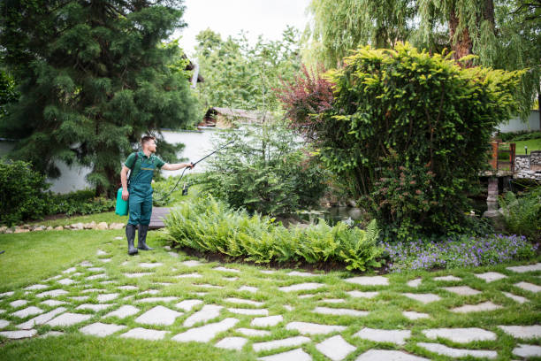 Best Best Pest Control Companies  in Erath, LA