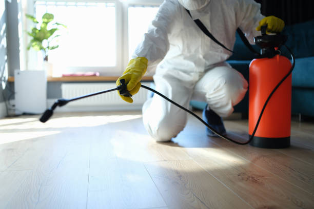 Best Wasp Removal Services  in Erath, LA