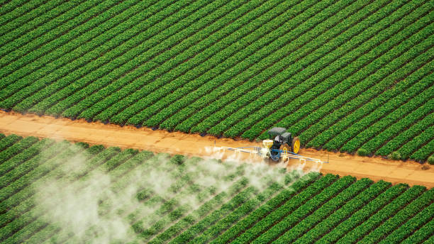 Pest Control for Restaurants in Erath, LA