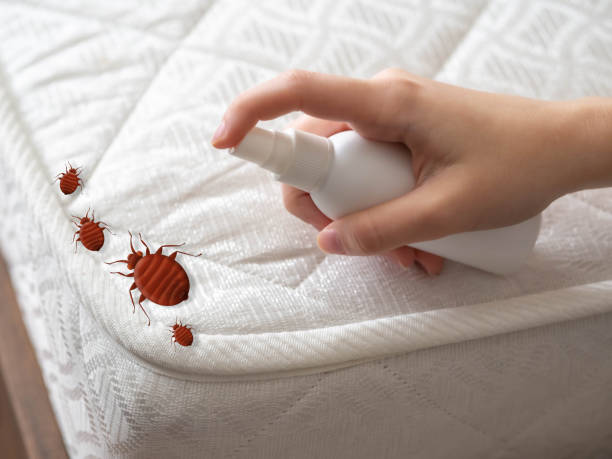 Best Cockroach Control Services  in Erath, LA