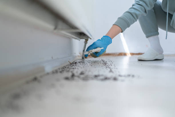 Best Pest Prevention Services  in Erath, LA